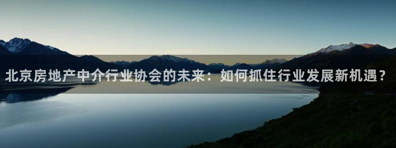 和记娱乐在线官网：北京房地产中介行业协会的未来：如何抓住行业