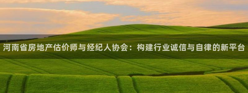 和记备用网官网开户：河南省房地产估价师与经纪人协会：构建行业
