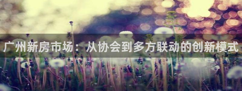 和记娱乐场所官网：广州新房市场：从协会到多方联动的创新模式