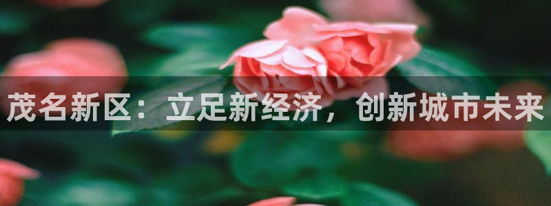 和记怡情博娱中国官网：茂名新区：立足新经济，创新城市未来