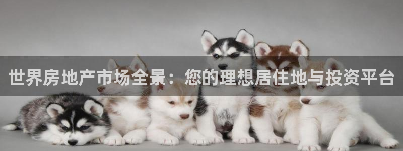 和记旗舰官网：世界房地产市场全景：您的理想居住地与投资平台