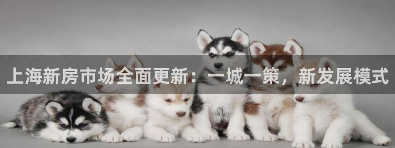 和记黄埔官网教育：上海新房市场全面更新：一城一策，新发展模式