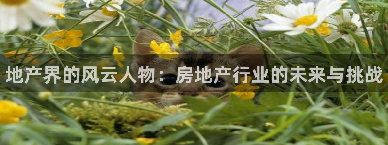 和记官网手机版：地产界的风云人物：房地产行业的未来与挑战