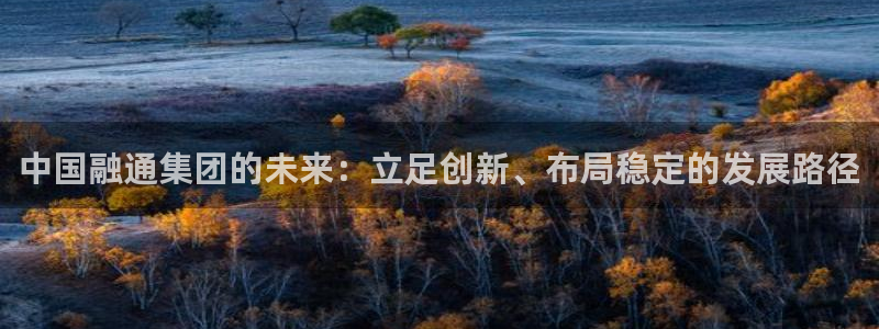 和记电讯官网：中国融通集团的未来：立足创新、布局稳定的发展路