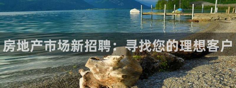 元和记官网：房地产市场新招聘：寻找您的理想客户