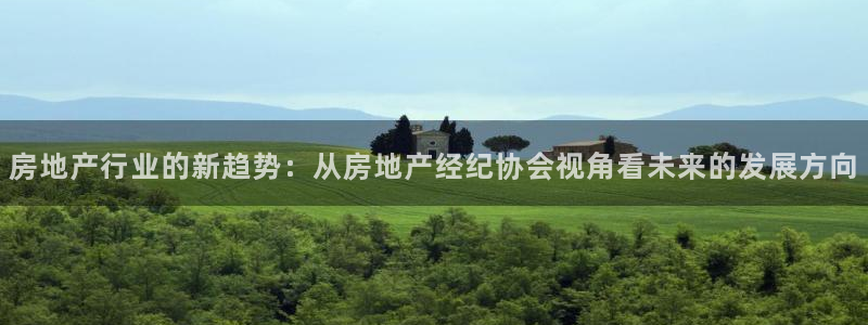 香港和记3电讯官网：房地产行业的新趋势：从房地产经纪协会视角