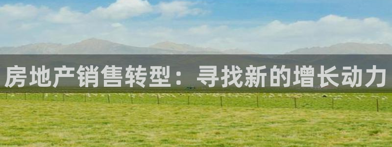 和记平台网站官网：房地产销售转型：寻找新的增长动力