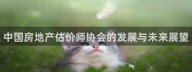 江苏和记伟业官网：中国房地产估价师协会的发展与未来展望