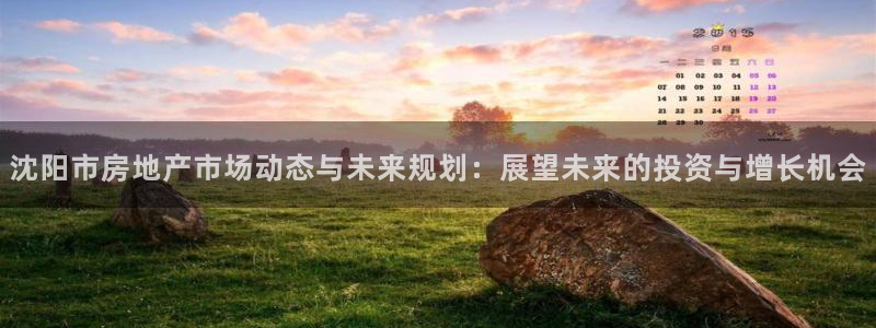 和记怡情博物官网：沈阳市房地产市场动态与未来规划：展望未来的