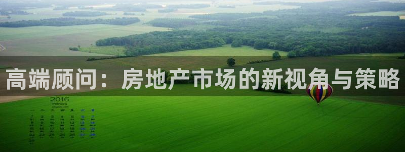 下载和记官网：高端顾问：房地产市场的新视角与策略