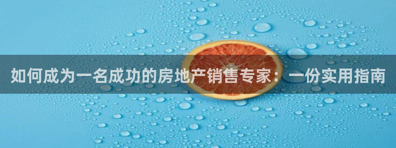 和记3电讯官网：如何成为一名成功的房地产销售专家：一份实用指