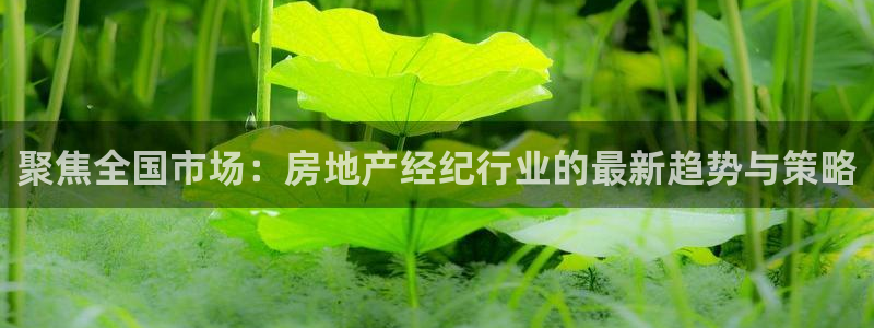 和记娱安全h88285官网：聚焦全国市场：房地产经纪行业的最