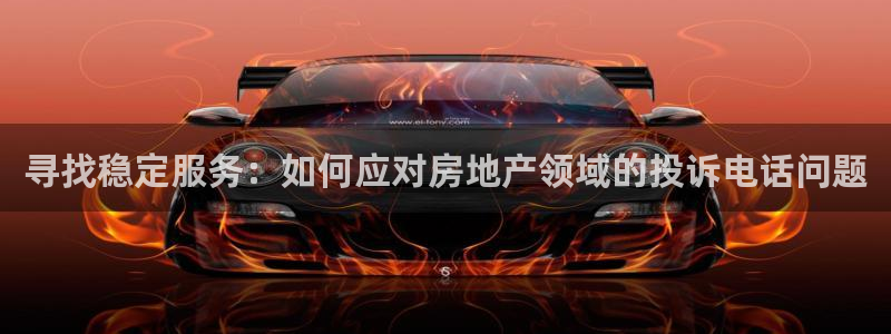 和记黄埔 成都 官网：寻找稳定服务：如何应对房地产领域的投诉