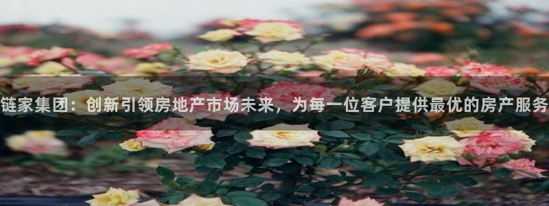澳门和记官网：链家集团：创新引领房地产市场未来，为每一位客户