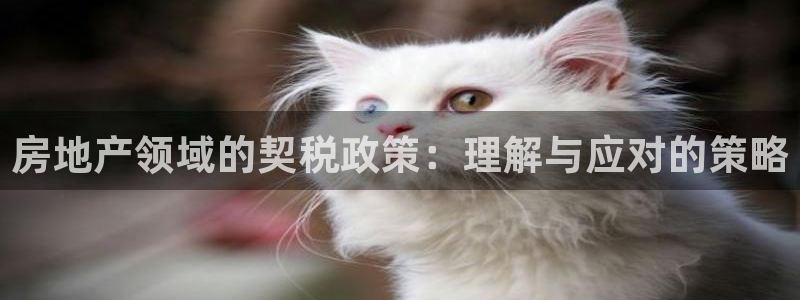 武汉和记黄埔官网：房地产领域的契税政策：理解与应对的策略