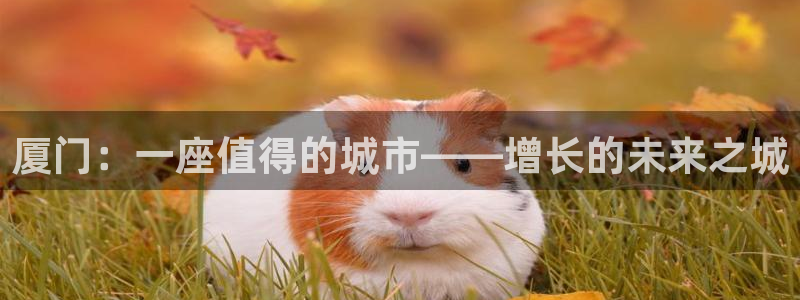 和记娱解答h88285官网：厦门：一座值得的城市——增长的未