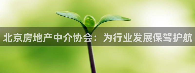 和记家家加盟官网：北京房地产中介协会：为行业发展保驾护航